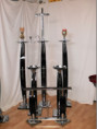 /album/anthostiles/p7291275-jpg/